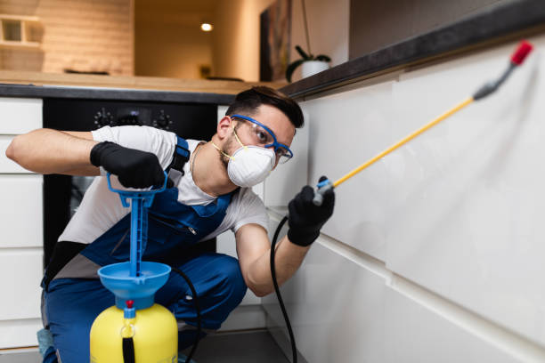 Best Mosquito Control Services  in Ewa Villages, HI