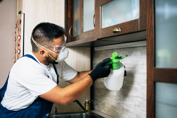 Best Cockroach Control Services  in Ewa Villages, HI
