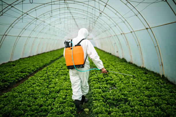 Reliable Ewa Villages, HI Pest Control Solutions