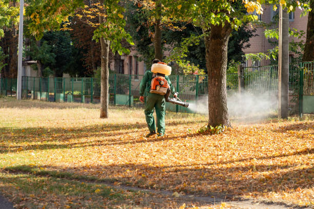 Best Flea Control Services  in Ewa Villages, HI