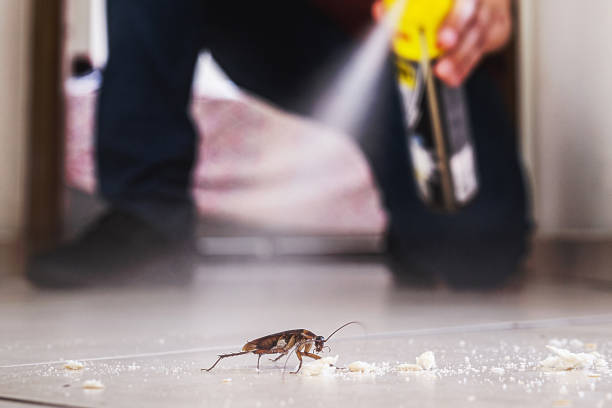 Best Mosquito Control Services  in Ewa Villages, HI